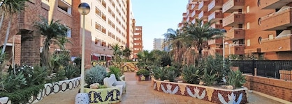 Apartamentos Coral - Marfil Marina Dor 3000