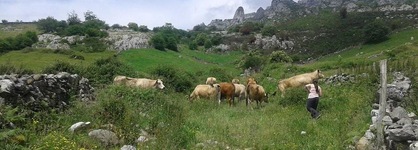 Posada El Mirador