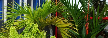 Holland Lodge Paramaribo
