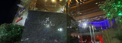 White Orchid