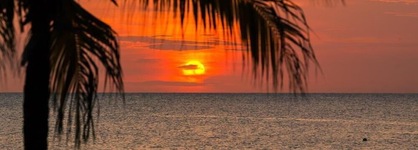 Coral Vista 1