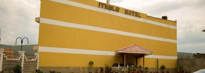 Miale The Hotel