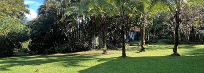 Blue Banyan Inn