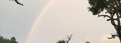 The Acacia Retreat