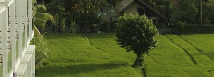 The Evitel Resort Ubud