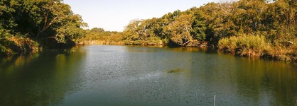 The Island River Lodge