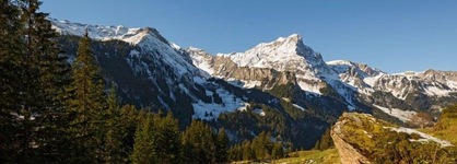 Griesalp Hotels