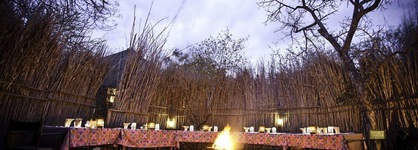 Sausage Tree Safari Camp