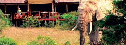 Bush Lodge – Amakhala Game Reserve