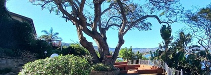 Phoenix Lodge And Waterside Accommodation