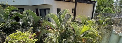 Pacha Tulum Boutique Hotel