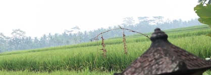 Villa Jj And Spa Ubud