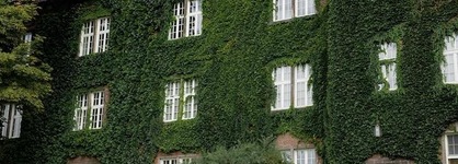 Too-Good Apartments