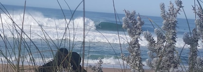 Pineapple Surf House