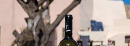 Elysian Retreat - Adults Only