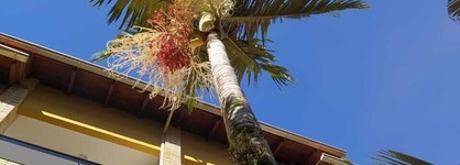 Hotel João De Barro