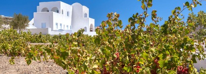 Blanca Luxury Villa