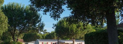 Camping Le Bois Masson