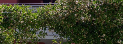 Villas Faro