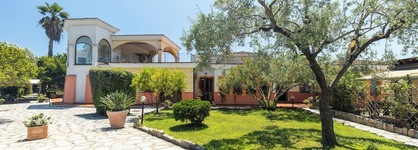 L'ulivo