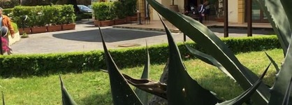 Hotel Il Cavaliere