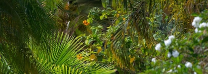 Hamlet Oasis Resort