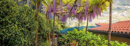Il Roseto