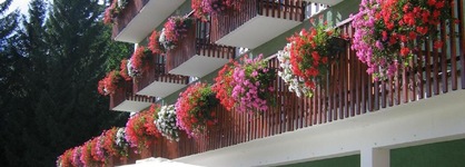 Albergo Monteverde