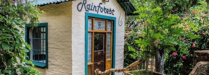 Rainforest Boutique Camp