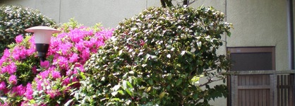 Uetoh Ryokan