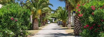 Camping L'oasis Et Le California