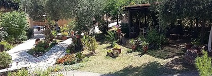 Harbour Inn Corfu