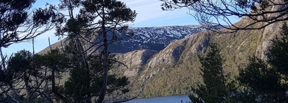 Cradle Alpine Retreat