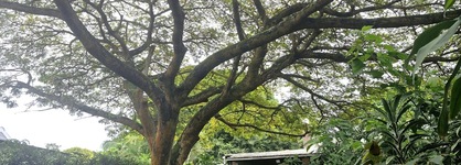 St Lucia Wilds