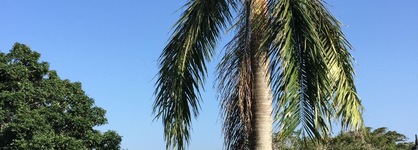 High Tide