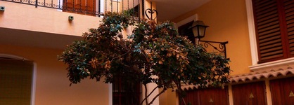 Apartamentos Shoal