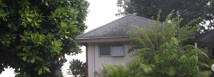 Muriavai Bungalows