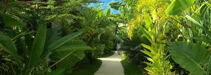 Siargao Bleu Resort And Spa
