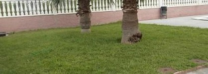 Bungalow In Santa Pola 100406