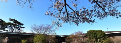 Hakone Gora Byakudan