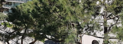 Hotel Ceccarini 9