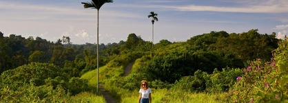 Element By Westin Bali Ubud