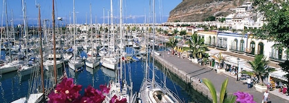 Cordial Muelle Viejo