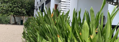 Phetcharat Grand Hotel Maesot