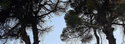Elivi Skiathos