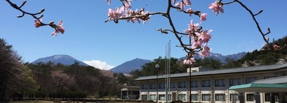 Nikko Toshogu Koyoen