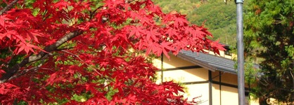 Tousin-An Komeya