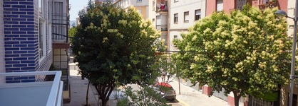 Apartamentos Irina