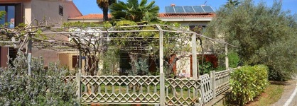 Apartments Valter 881
