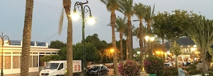 Bivalvia Beach Plus